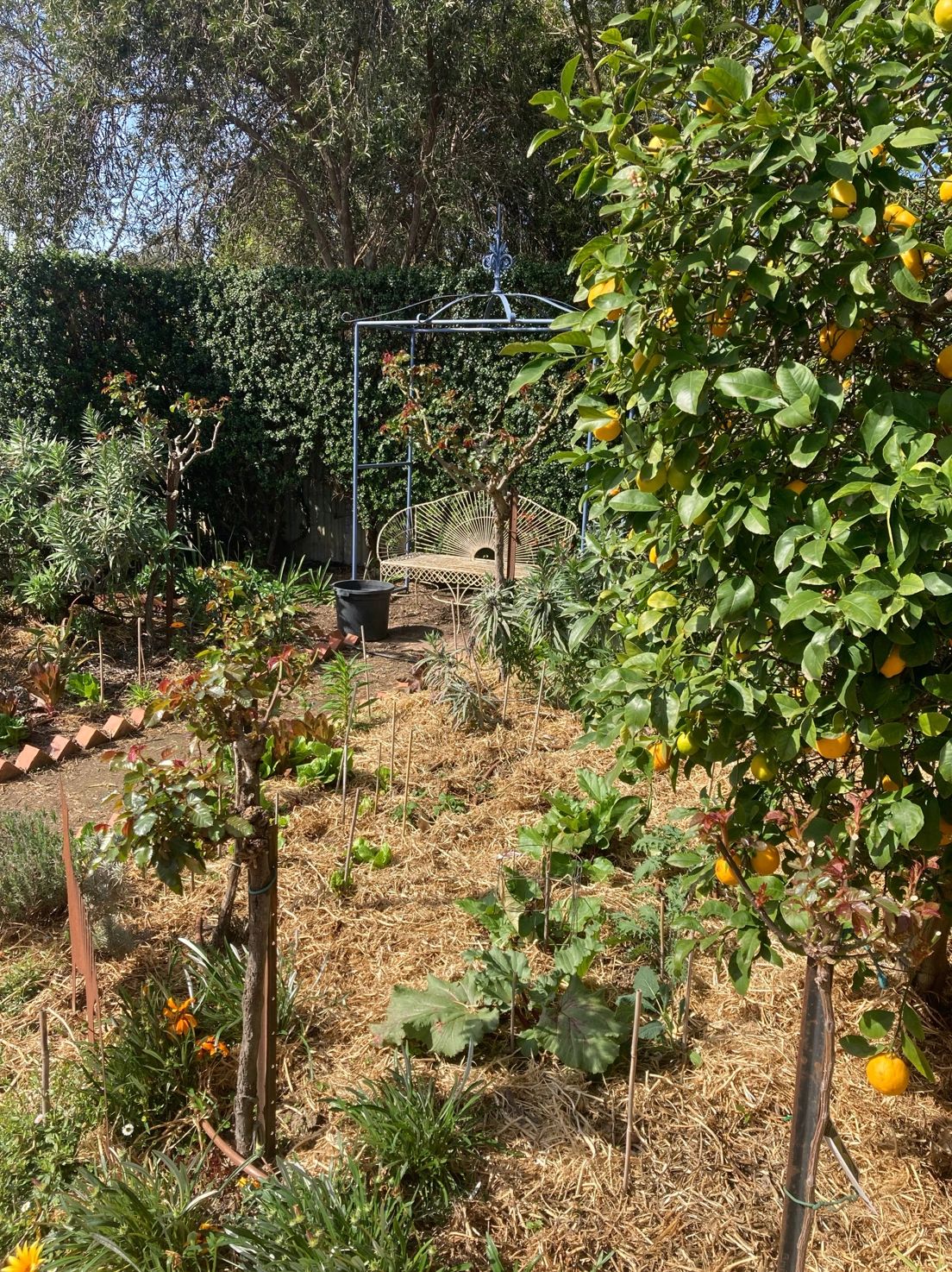 Retrofitting The Family Home Over The Years Wangaratta Landcare and